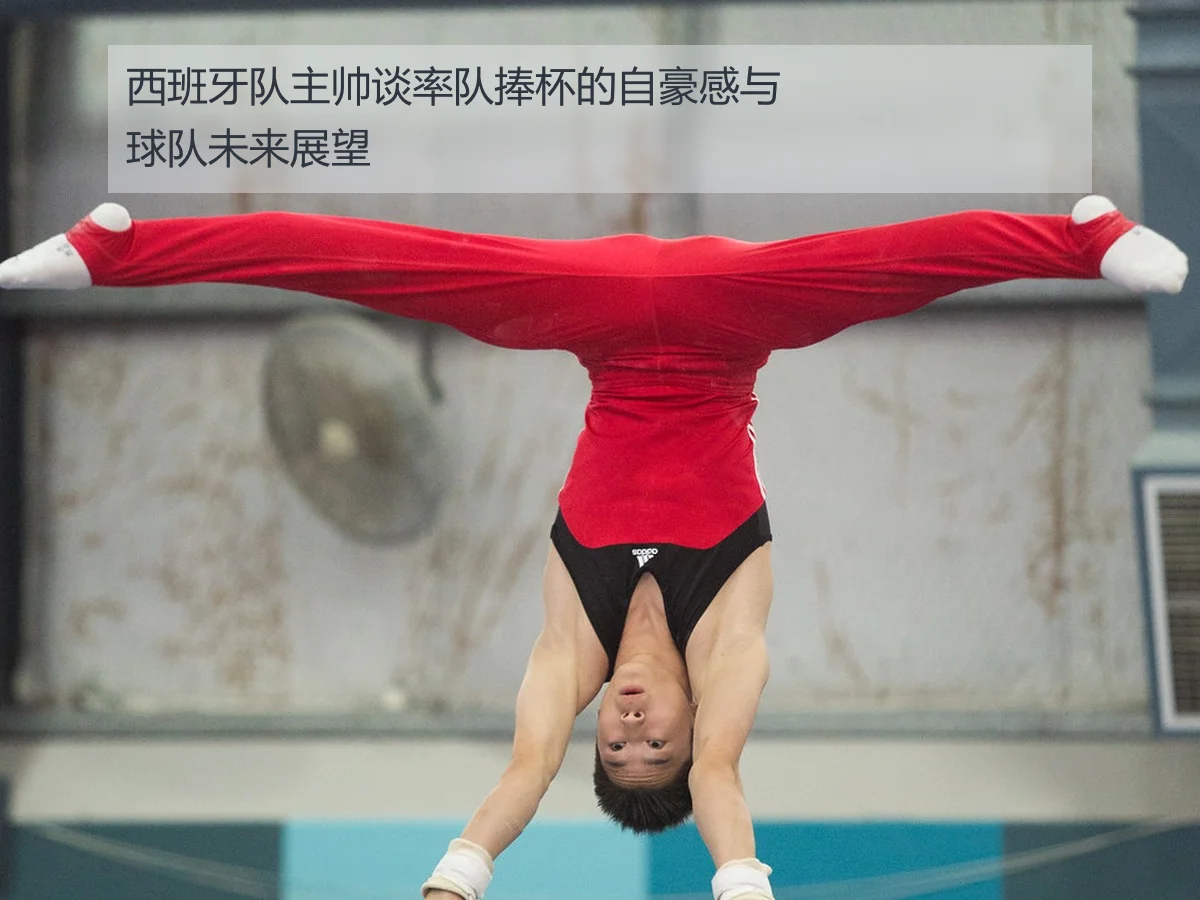 西班牙队主帅谈率队捧杯的自豪感与球队未来展望
