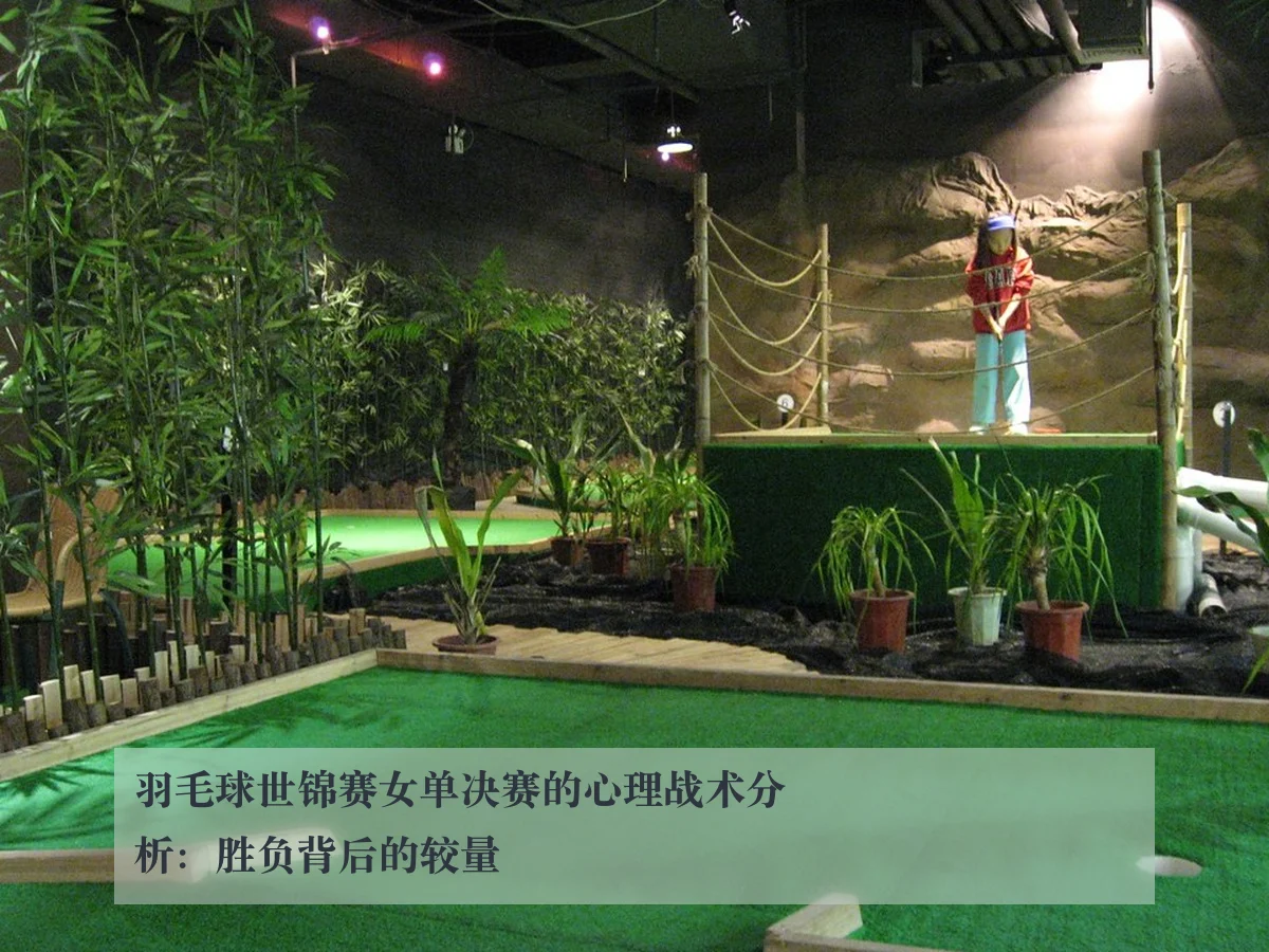 羽毛球世锦赛女单决赛的心理战术分析：胜负背后的较量